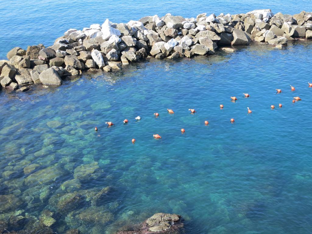 Apartamento Voce del Mare Riomaggiore Habitación foto